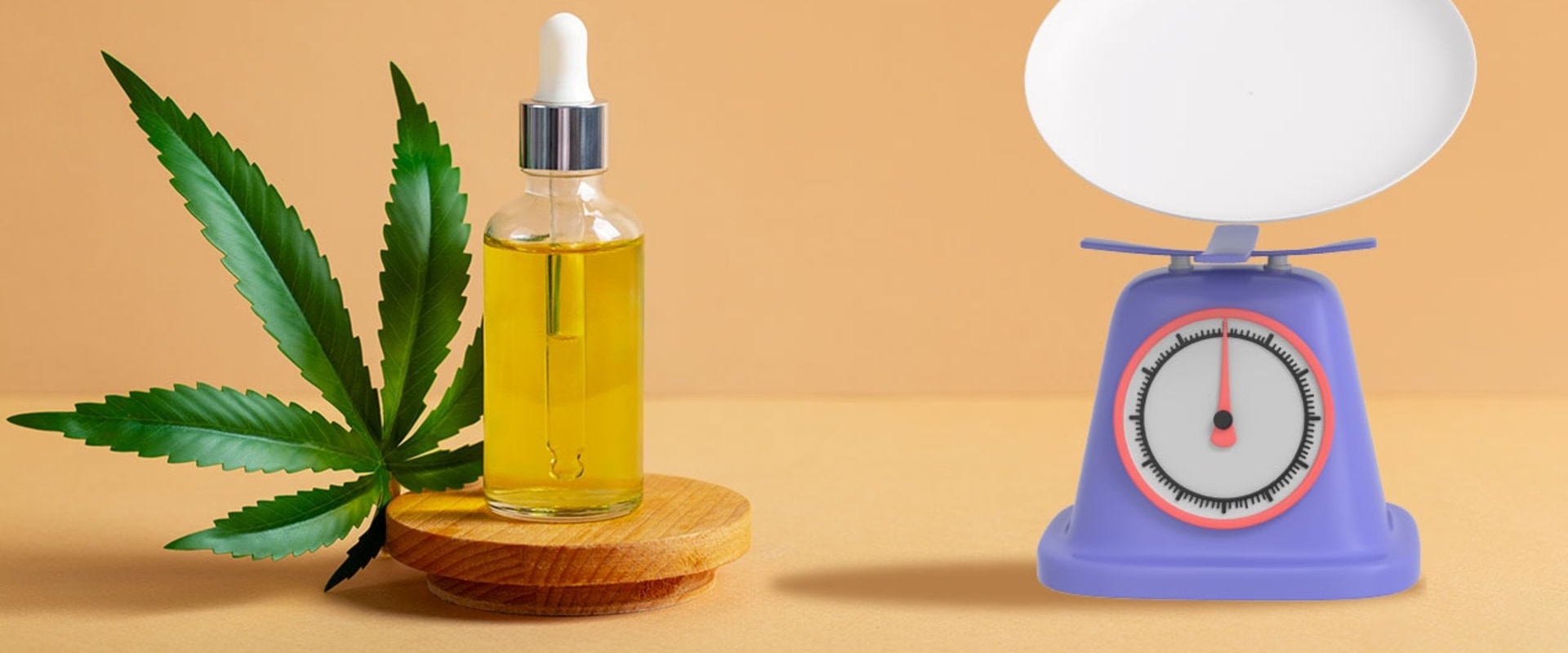 The Influence of Jazz Music on American Culture