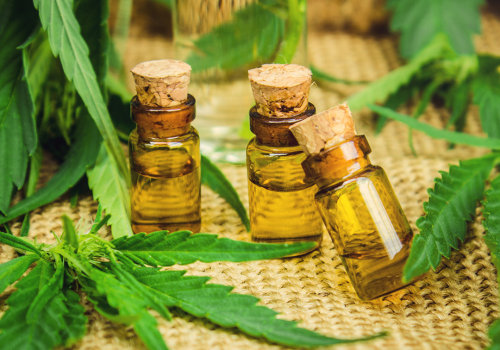 Forbidden v Vs Regular CBD Flower: What’s the Difference?